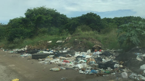 Tala de mangle y basureros clandestinos, problema constante en sur de Altamira