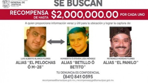 Presentan a el Pelochas ante MP de Victoria 