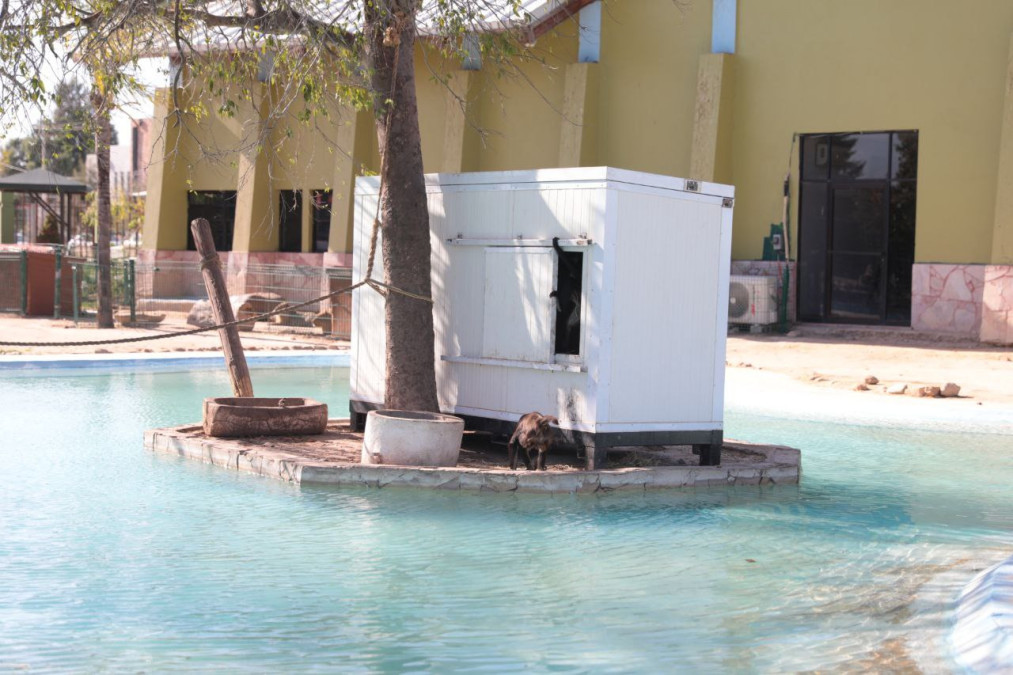 Resguardan en áreas  especiales a especies por frío en el Zoológico de Nuevo Laredo