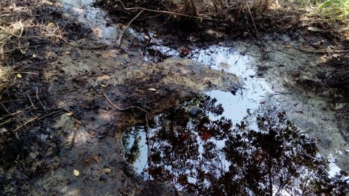Fuga de combustible afecta tierra de siembra y presa de la zona ejidal