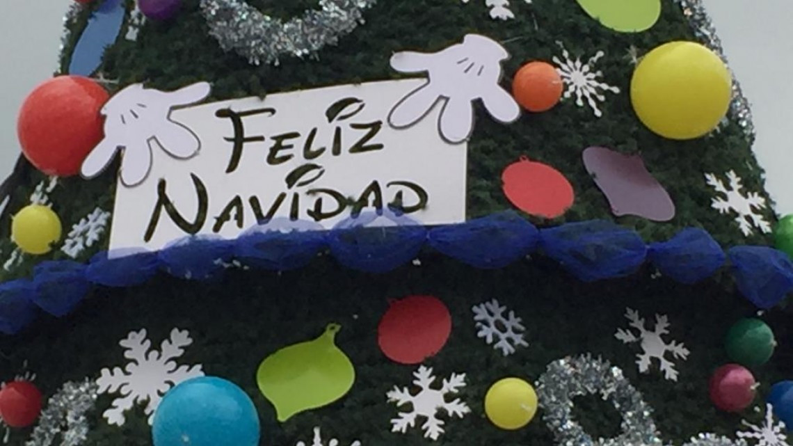 Listos para el encendido del árbol monumental