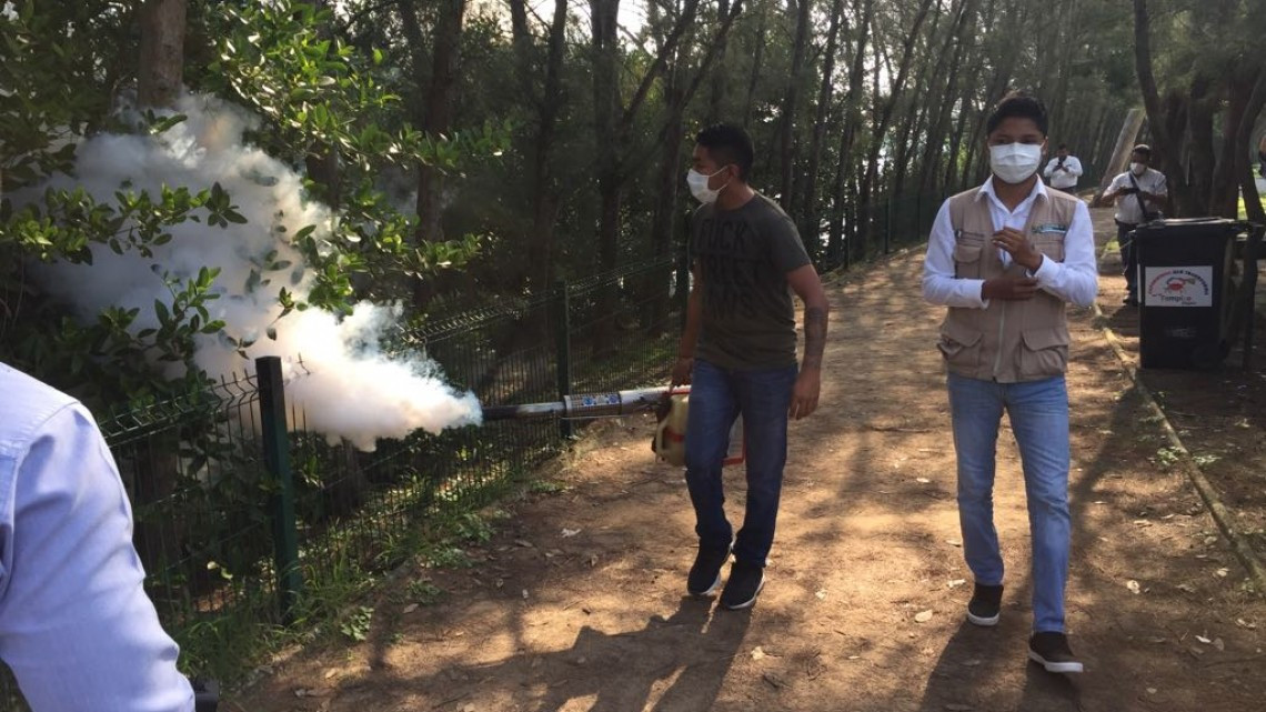 Coordinan acciones evitando propagación del dengue y otras enfermedades