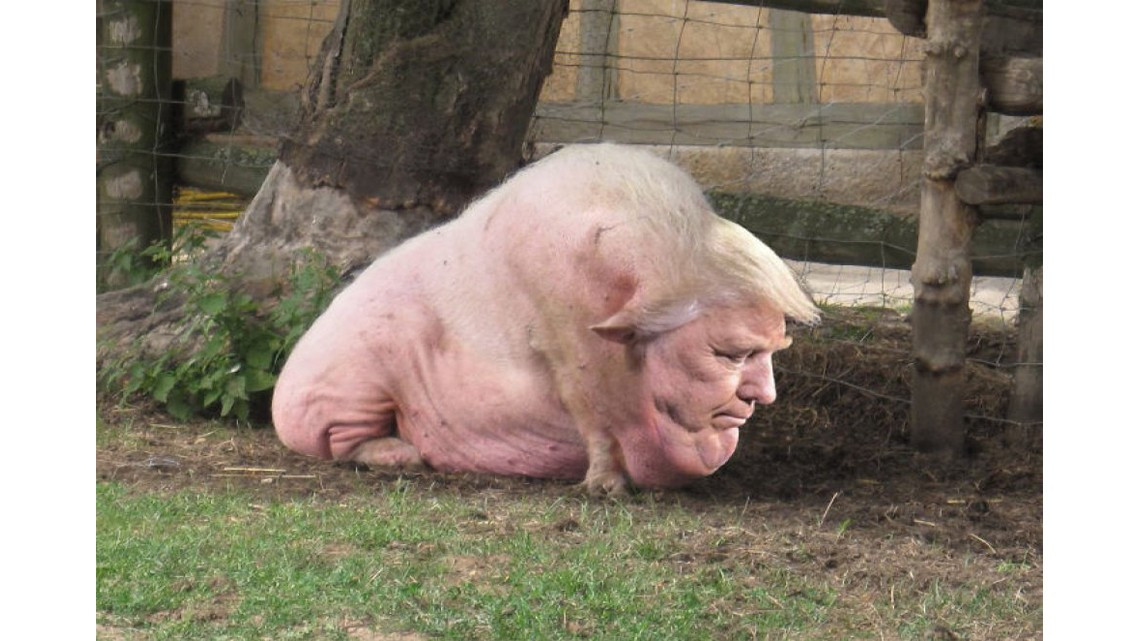 La foto que más odia Donald Trump de sí mismo