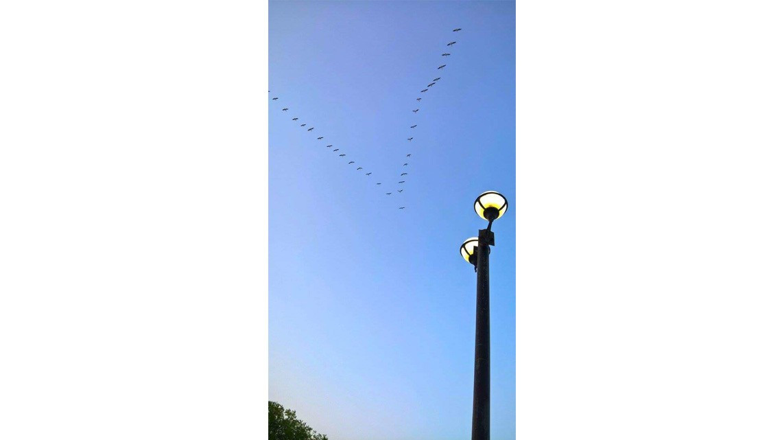 Dan a conocer fotografías del concurso "La Grandeza de Río Bravo"