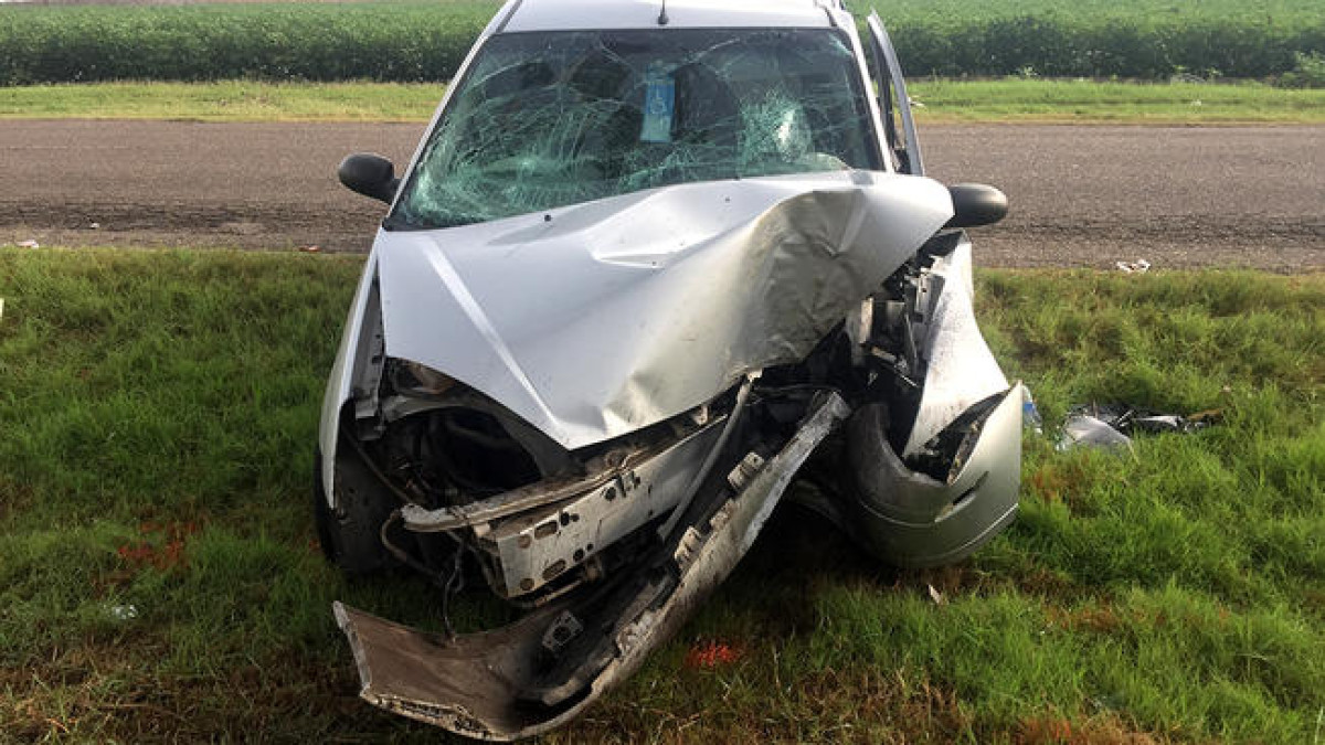 Fallece automovilista al chocar contra una palmera