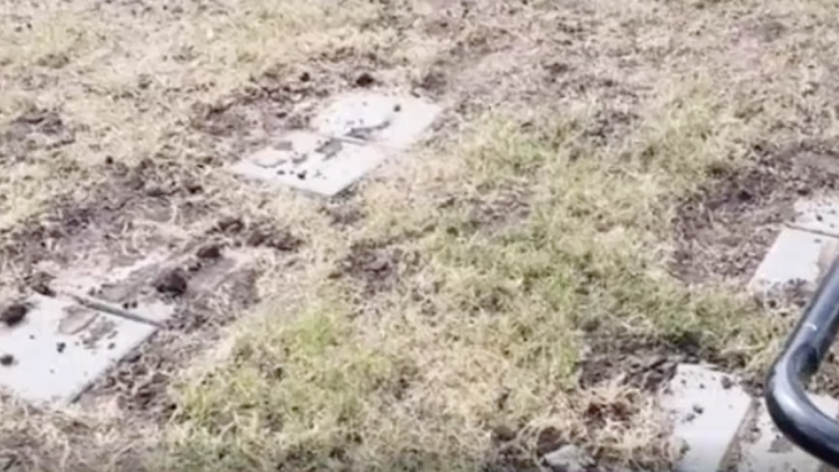 Buscan a responsables de vandalizar un parque con grafitis en Falfurrias 