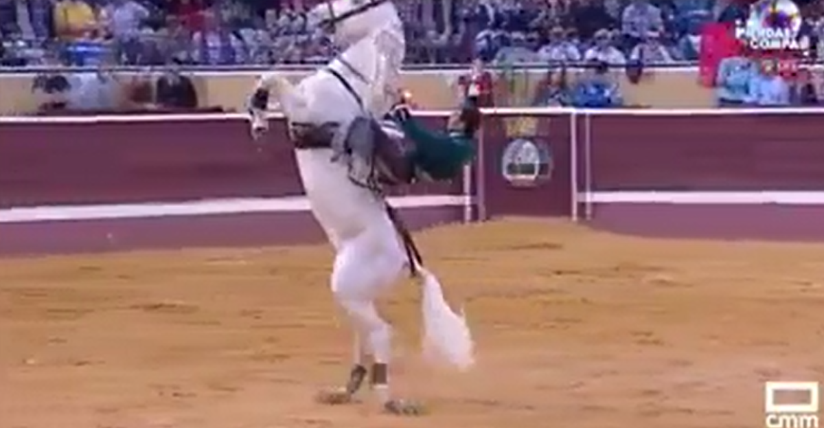 Caballo se roba show en plaza de toros