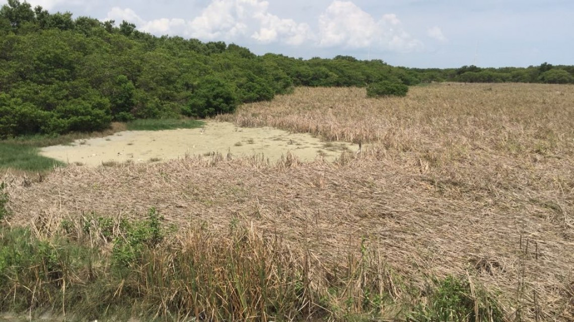 Lagunas comienzan a secarse por falta de lluvias