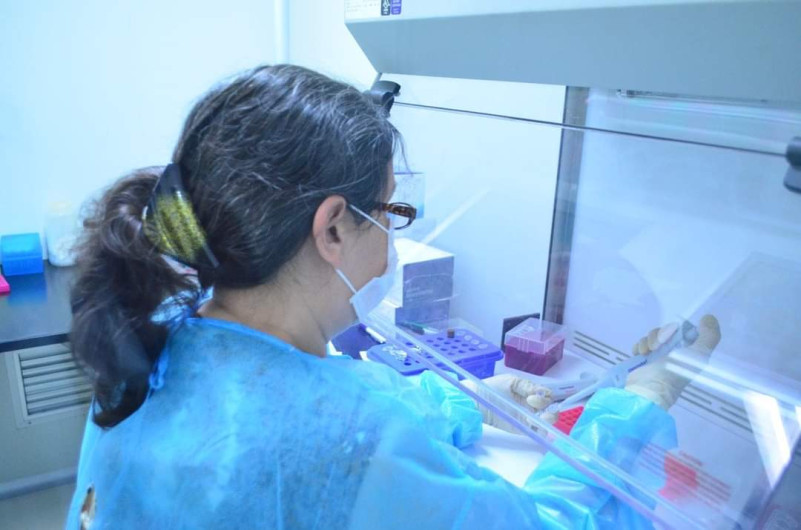 Tamaulipas registra 197 nuevos casos de COVID-19 