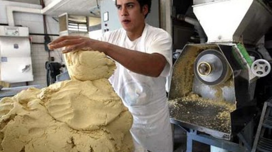 Por ahora precio de la tortilla se mantiene