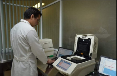 Confirman 23 casos nuevos y 1 fallecido por coronavirus en Tamaulipas. Suman ya 379 confirmados y 16 decesos