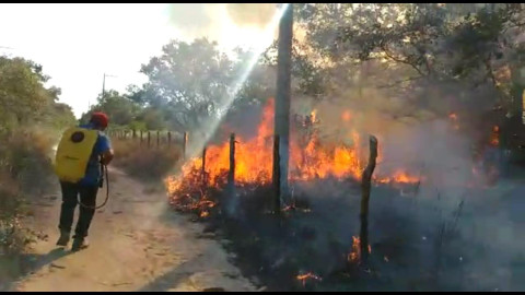 Se elevan el número de incendios en pastizales