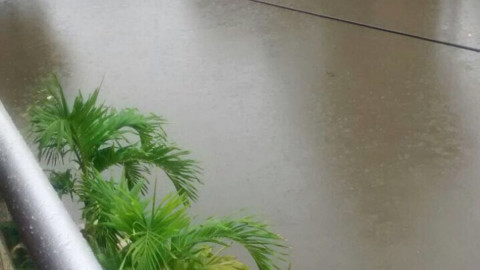 Laguna Nuevo Amanecer se mete a más de 50 casas en Madero 