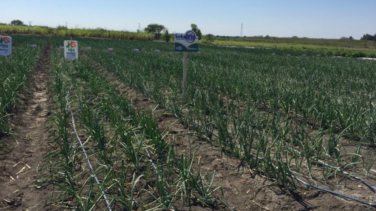 Con nuevas técnicas y variedades de ganado se puede mejorar la producción en el campo: especialistas