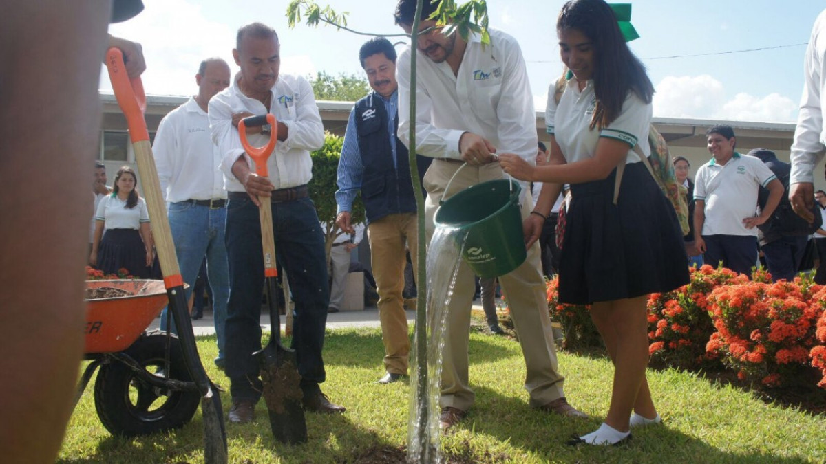 Concluyen talleres de cultura forestal