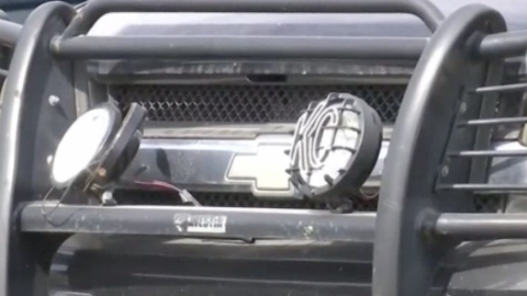 Realizarán subasta de vehículos en Rio Grande City