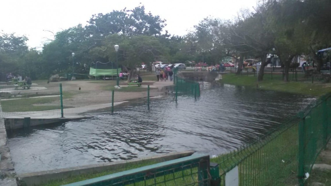 Laguna del Carpintero en Tampico comienza a desbordarse 