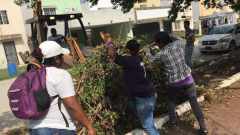 Realizan acciones preventivas contra el dengue