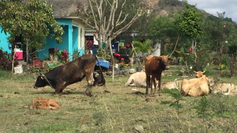 Trabajos de exploración que realiza Pemex, reactiva economía a habitantes del sector rural