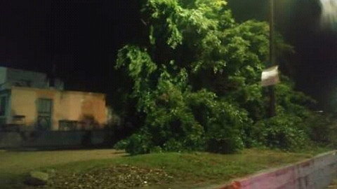 Daños mínimos ha dejado a su paso el frente frío no. 10: Alcalde