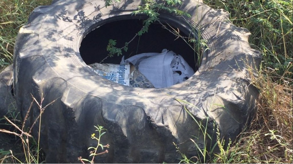 Buscan evitar propagación de enfermedades como dengue, zika y chikungunya