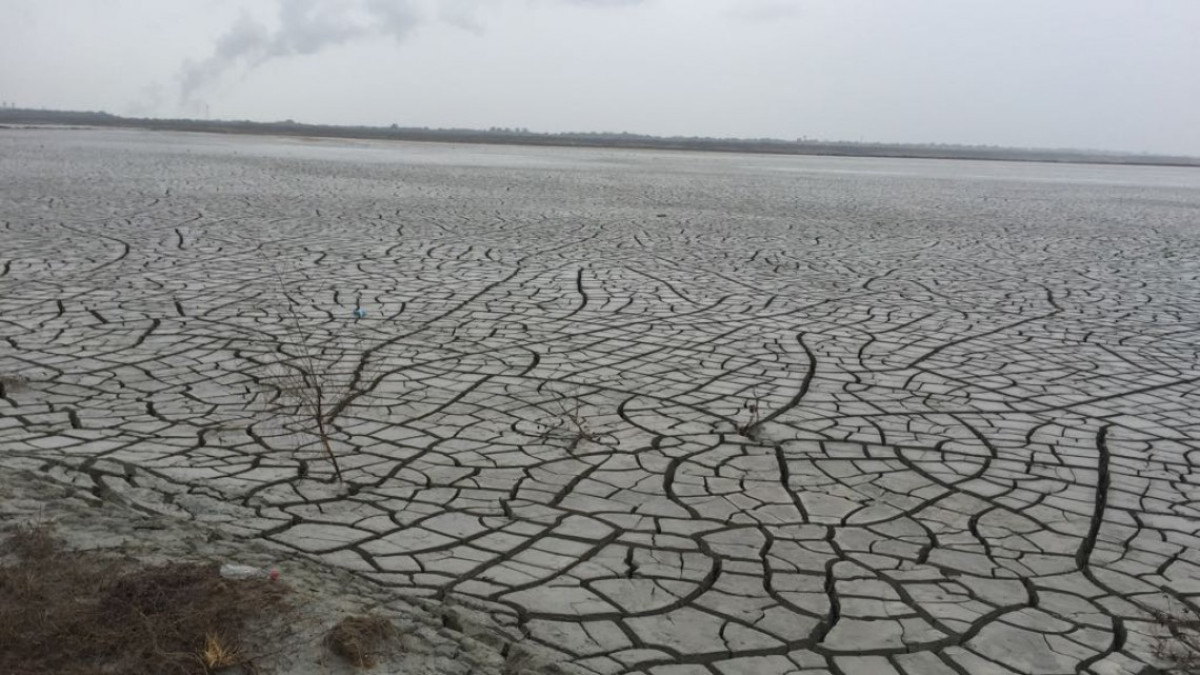 La deforestación afecta más de la mitad de las tierras en la zona sur de Tamaulipas.