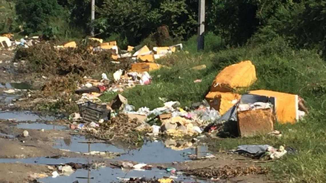 Piden endurecer acciones contra quienes generen basureros clandestinos