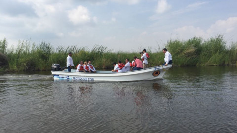 Siembran catán y tilapia en lagunas de Altamira