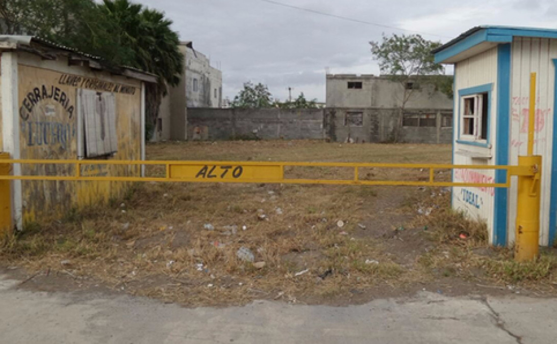 Abren centros de acopio recolección de árboles de Navidad en Valle Hermoso 