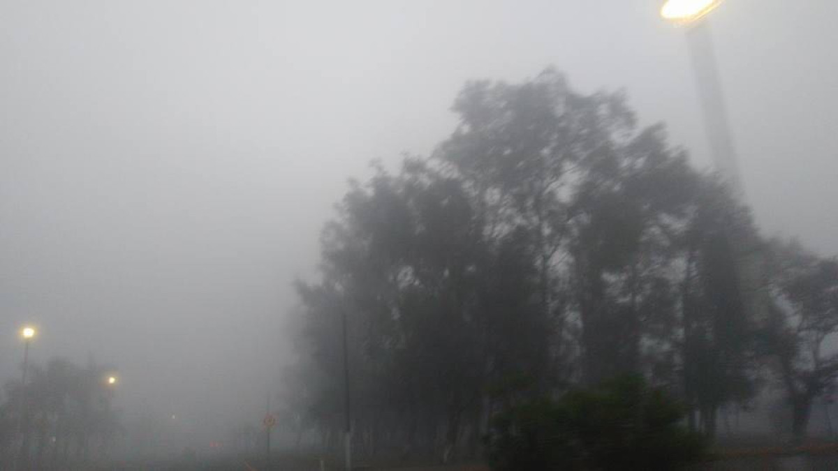 Amanece Tampico entre densa neblina