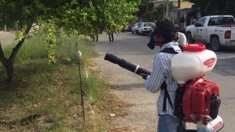 Desarrollo Social realiza campañas de fumigación