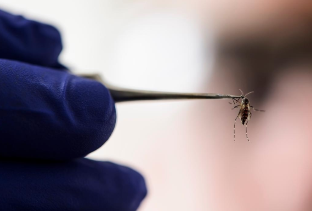 Surge el primer posible caso de Zika en NLD