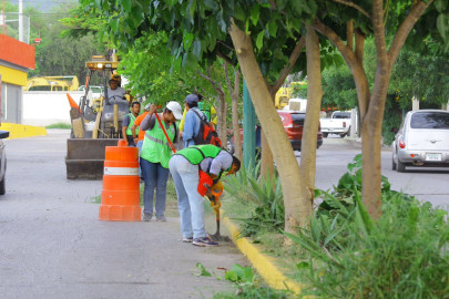 Llevan a cabo trabajos de limpieza
