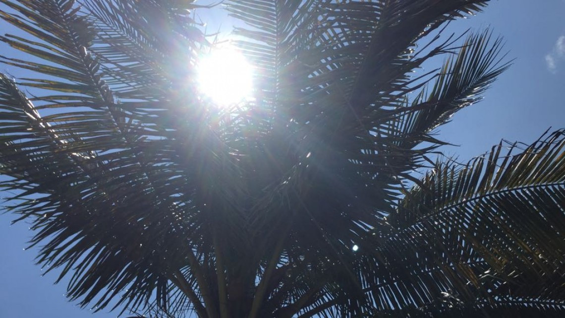 Continuarán las altas temperaturas en la región