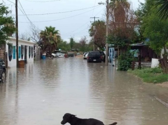 Lluvia impide venta comercial en Río Bravo