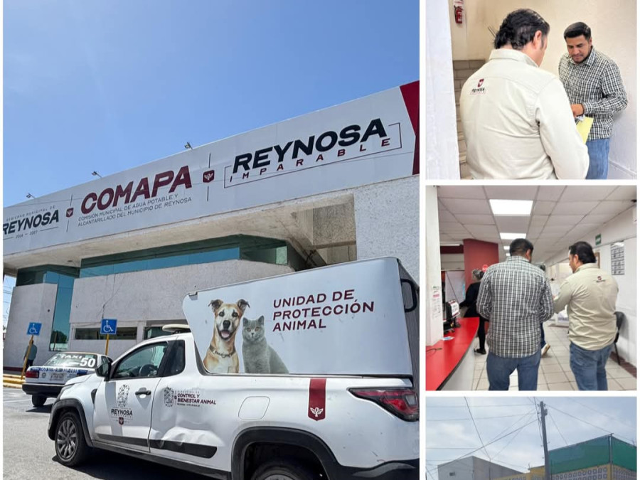 Empleado de COMAPA atropella a lomito en Col. Longoria; autoridades imponen multa 