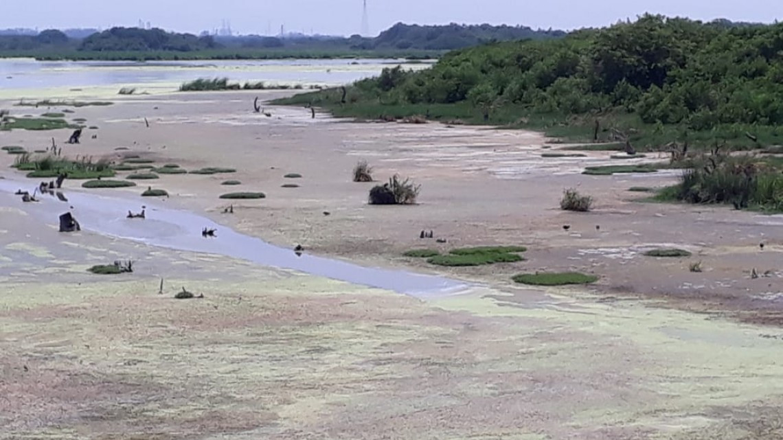 Lagunas comienzan a secarse por falta de lluvias