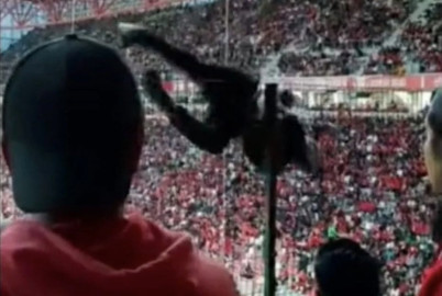 Cae aficionado de las gradas del Nemesio Diez