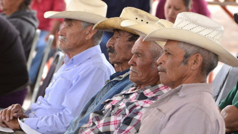 Entregan 377 millones a productores agrícolas