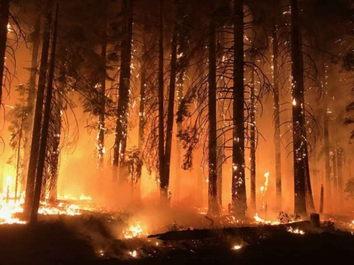 Buscan se controlen incendios para antes de Navidad