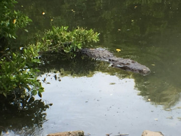 Sin operar la UMA situada en Altamira