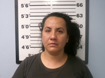 Arrestan a mujer tras altercado en el Puente Internacional de Donna