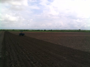 Por clima aún no se siembre en municipio