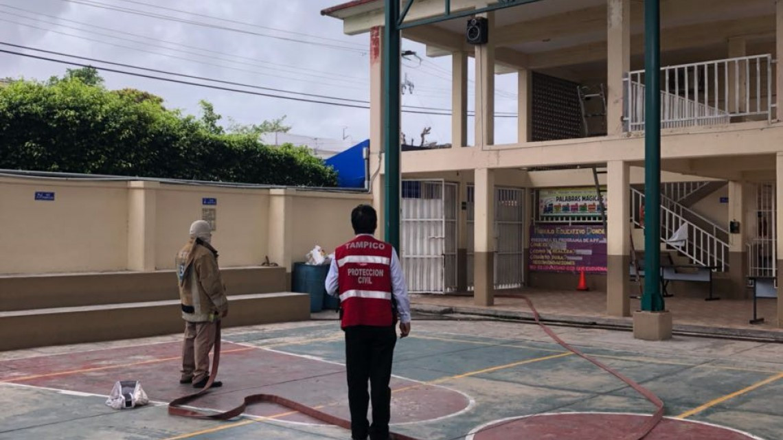 Abejas africanizadas causan terror en escuela primaria de Tampico