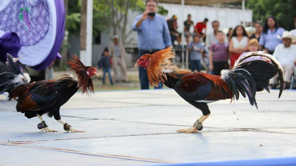 Asiste alcaldesa a evento conmemorativo