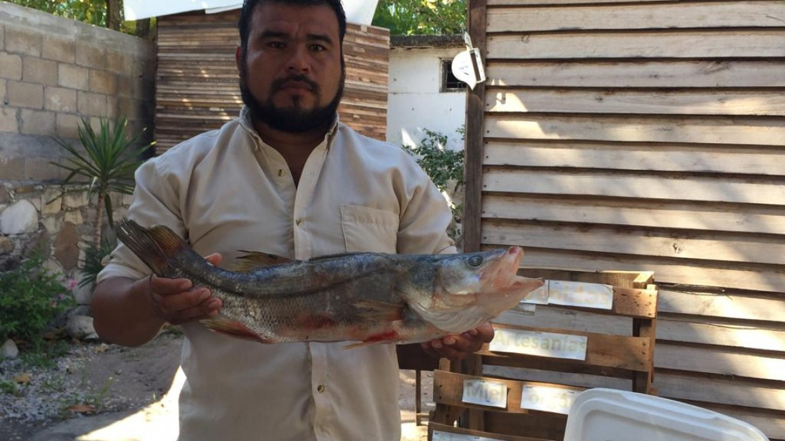 Productores del campo y artesanos se unen para exponer sus productos