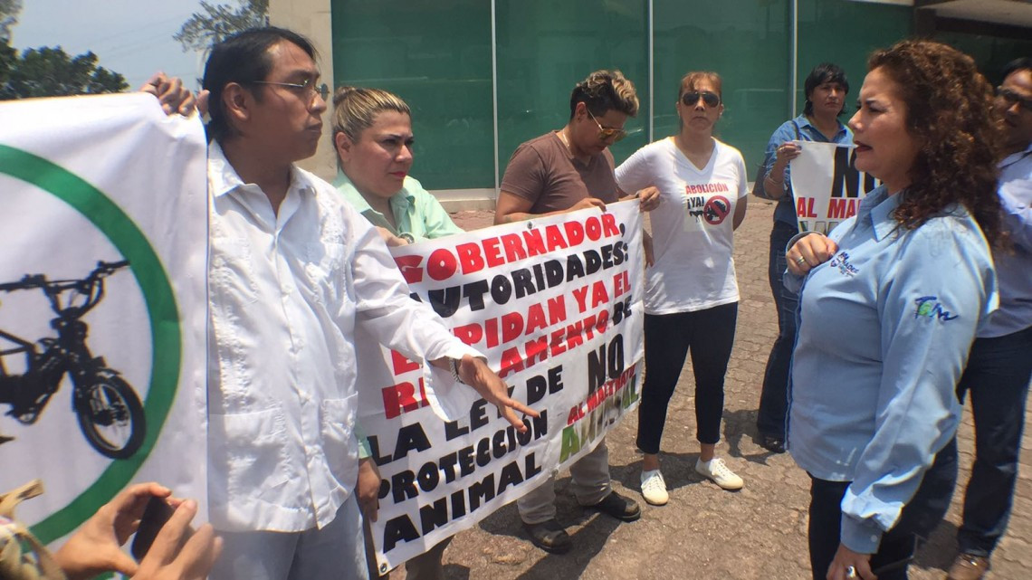 Exigen activistas prohibir el uso de caballos por los carretoneros