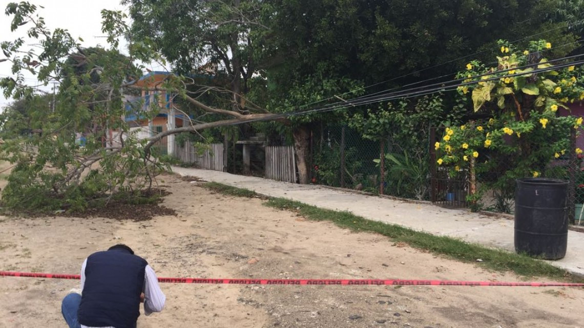 Cables de alta tensión ponen en riesgo a familias de Altamira