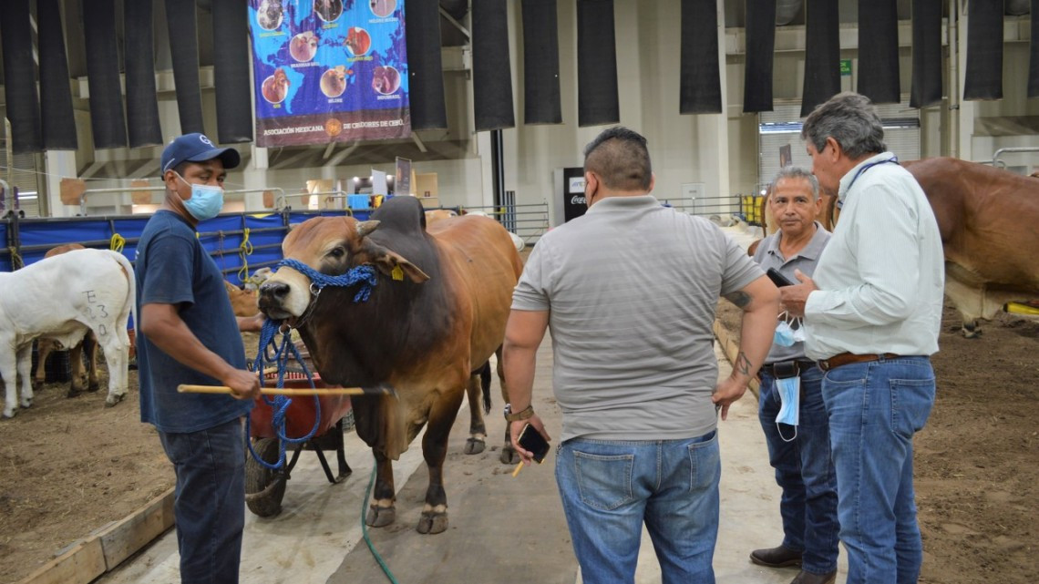 Ganaderos nacionales valoran infraestructura, atractivos  y seguridad de Tampico