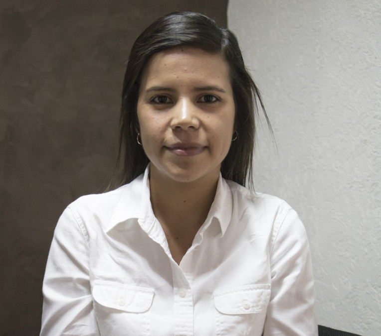 Inician proyecto para la contención de cocodrilos en las lagunas